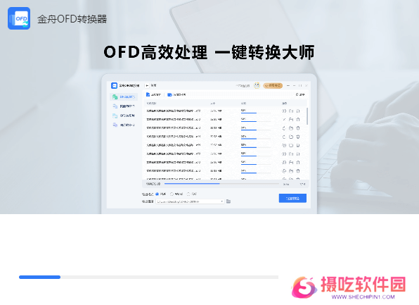 金舟OFD转换器