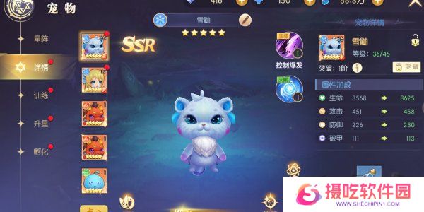 天启圣源宠物搭配攻略 天启圣源宠物怎么搭配好