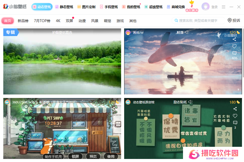 小鸟动态壁纸官方正版