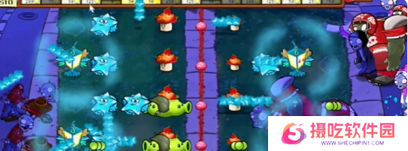 植物大战僵尸杂交版益智模式与时间赛跑通关攻略 植物大战僵尸杂交版与时间赛跑怎么过