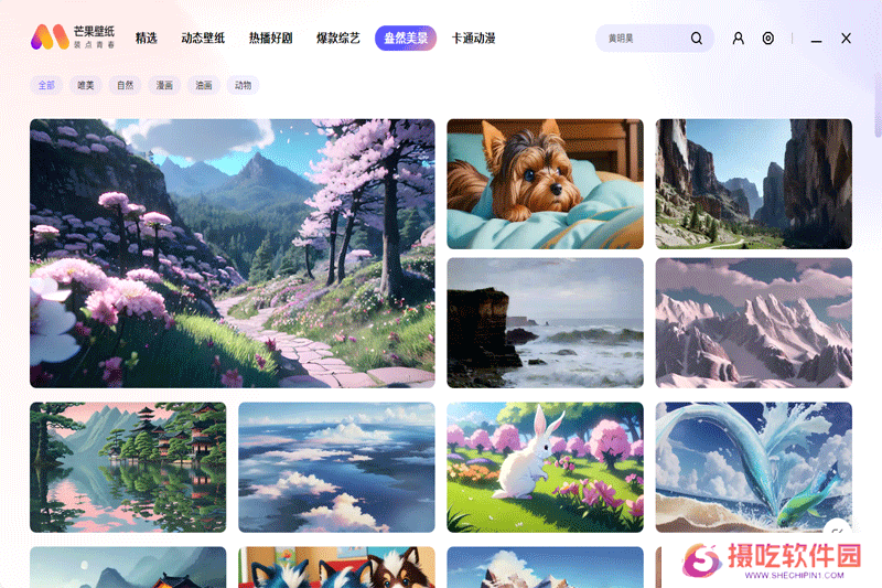 芒果壁纸标准版