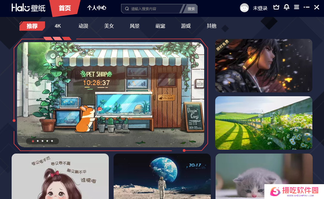 Halo动态壁纸纯净版