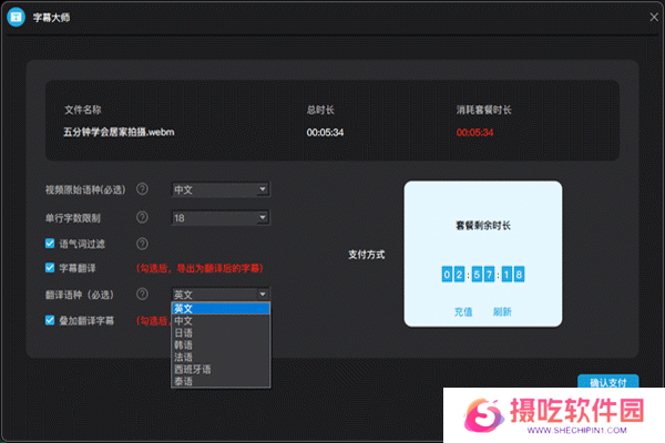 字幕大师优化版
