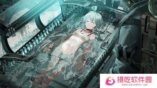 本站