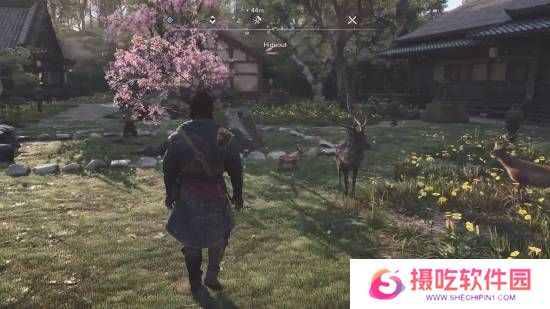 本站