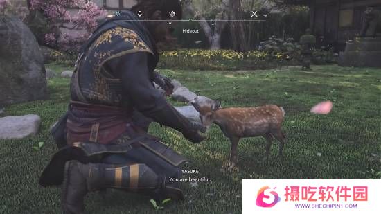 本站