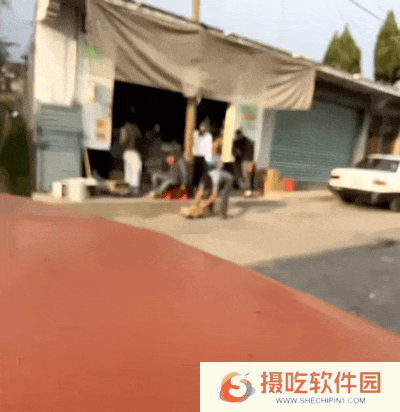 本站