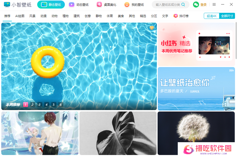 小智壁纸正式版