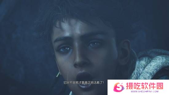 本站