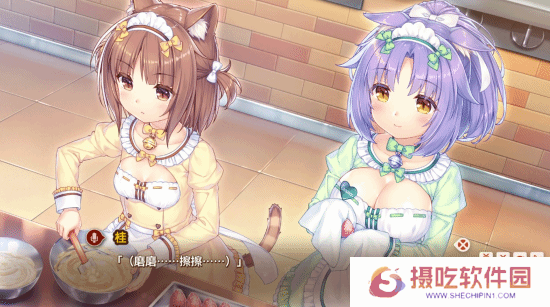 本站