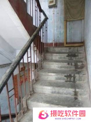 本站