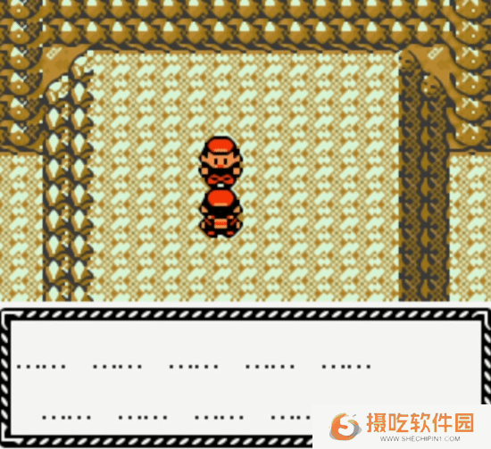 本站