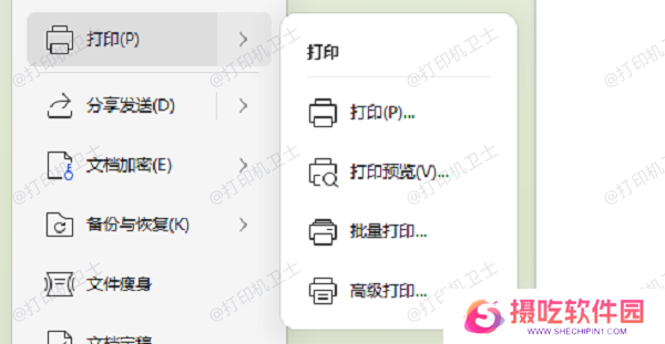 预览打印文件
