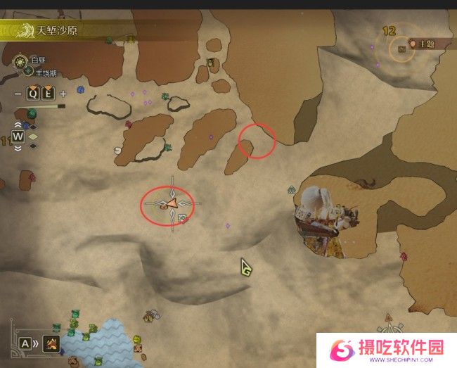 《怪物猎人：荒野》捕获足迹蜥蜴攻略分享