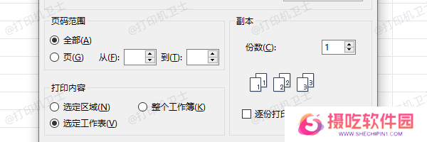 选择“仅打印含数据的页面”