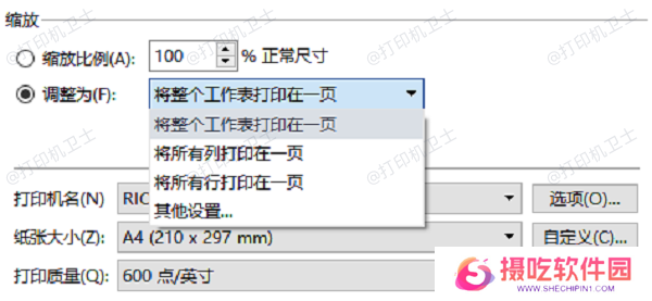 在打印设置中调整尺寸