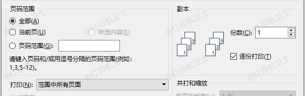检查打印选项是否启用了页码区域